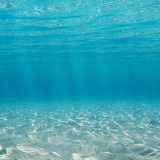 How to purify sea water