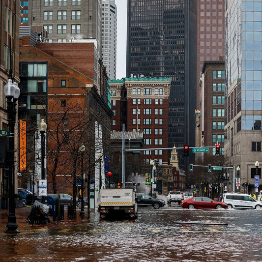 The Importance of Water Purification in Hurricane Emergencies