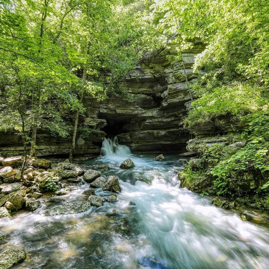 Spring Water vs Purified Water: Which Should You Choose?